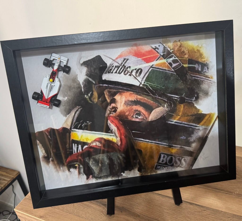 Tableau 3D Ayrton Senna