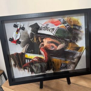Tableau 3D Ayrton Senna