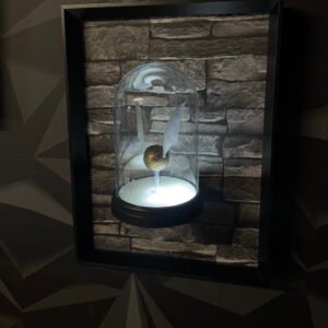 tableau 3D Balle de Quidditch d'Harry Potter