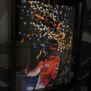 Tableau 3D Lando Norris